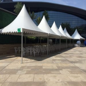 Customized Painted 5x5m Pagoda Event Party Tent
